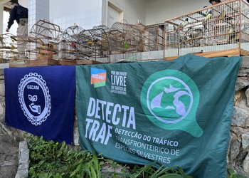 Operação apreende mais de 500 animais silvestres no sertão de Sergipe