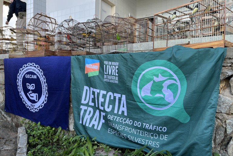 Operação apreende mais de 500 animais silvestres no sertão de Sergipe