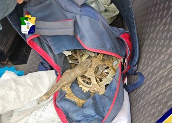 Suspeito de furtar objetos de túmulos é preso em Nossa Senhora Aparecida