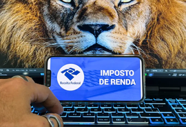 Receita abre consulta a lote da malha fina do Imposto de Renda