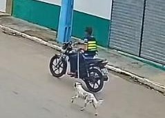 Polícia investiga suspeito de maus-tratos contra um animal em Porto da Folha