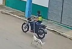 Polícia investiga suspeito de maus-tratos contra um animal em Porto da Folha