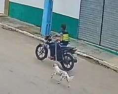 Polícia investiga suspeito de maus-tratos contra um animal em Porto da Folha
