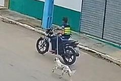 Polícia investiga suspeito de maus-tratos contra um animal em Porto da Folha