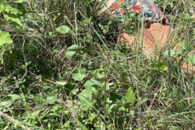 Mulher é encontrada morta em matagal no município de Itabaiana