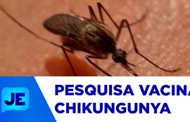 Três municípios sergipanos vão integrar estudo nacional sobre a vacina contra a Chikungunya