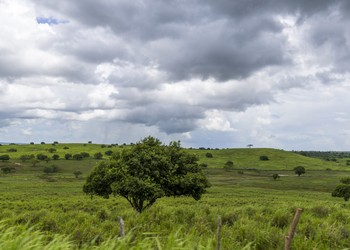 Previsão indica céu parcialmente nublado e chance de chuvas fracas em Sergipe