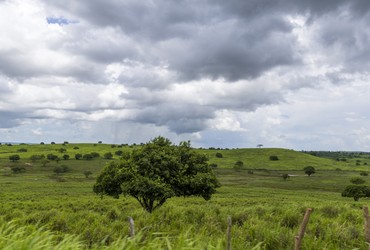 Previsão indica céu parcialmente nublado e chance de chuvas fracas em Sergipe