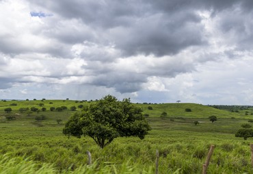 Previsão indica céu parcialmente nublado e chance de chuvas fracas em Sergipe