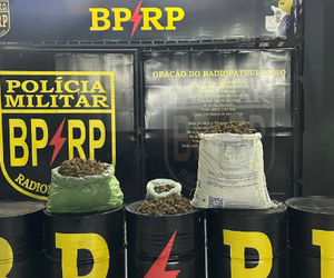 Ação conjunta apreende mais de 16 kg de drogas e prende suspeito em Socorro