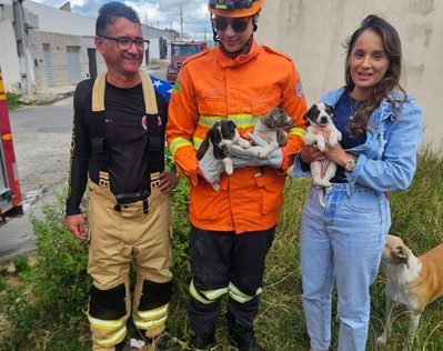 Bombeiros resgatam três filhotes de cachorro presos entre paredes em Nossa Senhora Aparecida