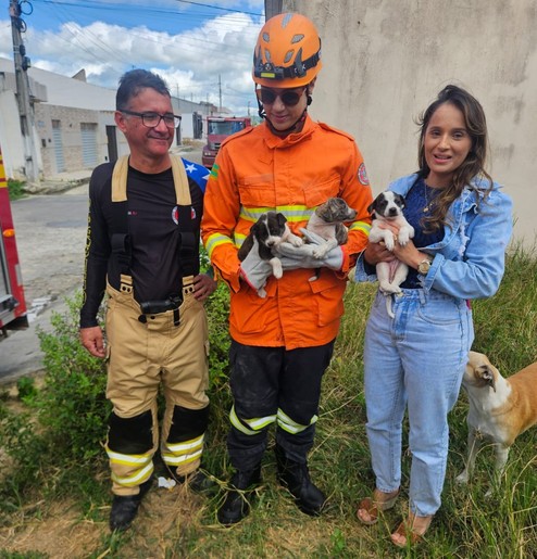 Bombeiros resgatam três filhotes de cachorro presos entre paredes em Nossa Senhora Aparecida