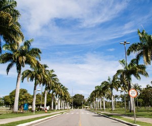 Carreta do Cinema Rodoviário leva sessões educativas no Parque Governador Augusto Franco