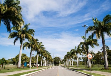 Carreta do Cinema Rodoviário leva sessões educativas no Parque Governador Augusto Franco