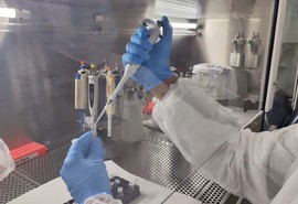 SES monitora “gripe K” em Sergipe e confirma que não há casos no estado