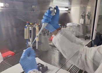 SES monitora “gripe K” em Sergipe e confirma que não há casos no estado