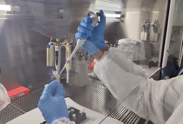 SES monitora “gripe K” em Sergipe e confirma que não há casos no estado