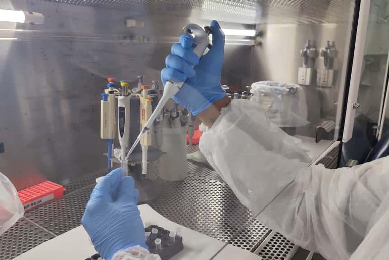 SES monitora “gripe K” em Sergipe e confirma que não há casos no estado