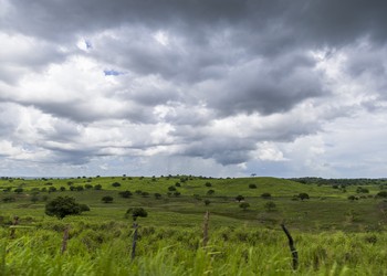 Dia de São José deve ter chuva fraca em Sergipe, aponta previsão