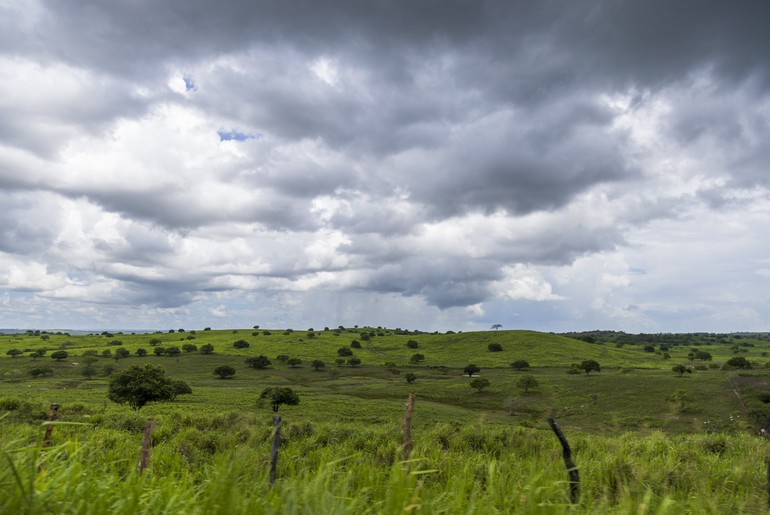Dia de São José deve ter chuva fraca em Sergipe, aponta previsão
