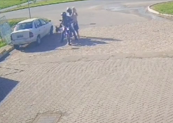 Cachorro furtado em posto de combustível é devolvido à tutora após investigação da Polícia Civil
