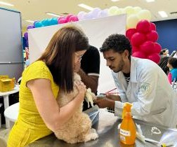 Cães e gatos terão vacinação gratuita em Aracaju; confira o local