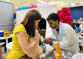 Cães e gatos terão vacinação gratuita em Aracaju; confira o local