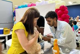 Cães e gatos terão vacinação gratuita em Aracaju; confira o local