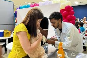 Cães e gatos terão vacinação gratuita em Aracaju; confira o local