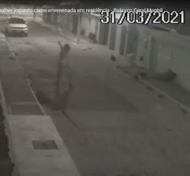 Câmeras registram mulher jogando carne envenenada para cachorros na Aruana