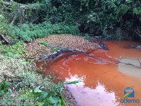 Adema retira óleo no Rio Pitanga após acidente na BR-101