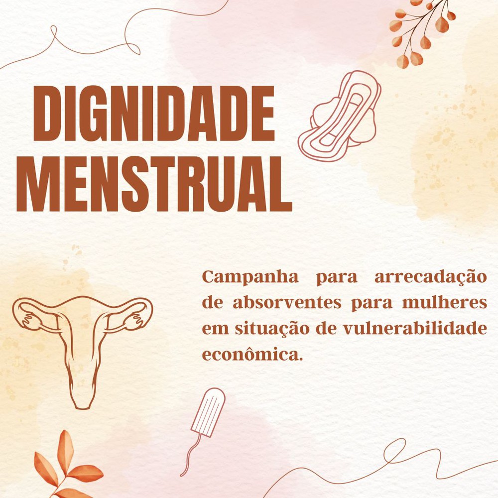 Projeto arrecada absorventes para mulheres em situação de vulnerabilidade financeira em Sergipe