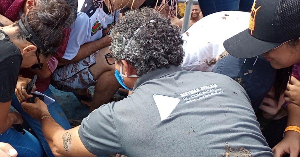 Jornalistas e suspeito de ataque à imprensa durante Festa do Mastro são ouvidos pela polícia