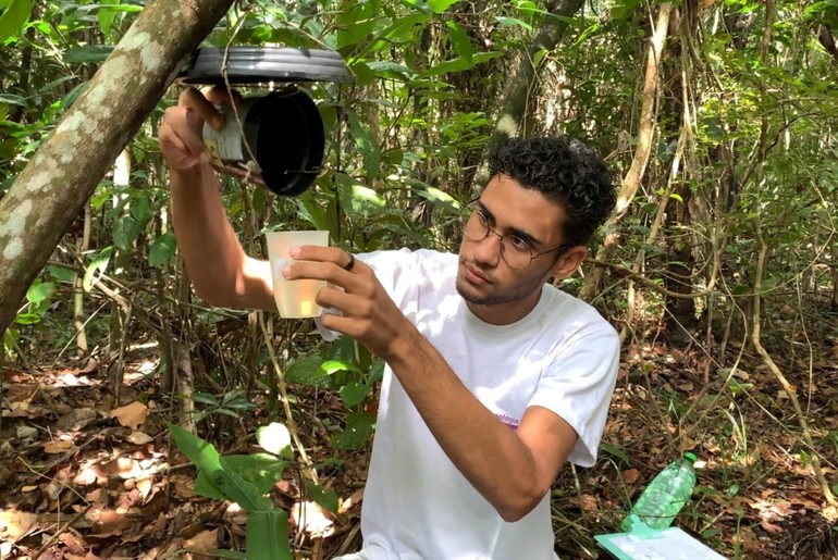 Estudo da UFS investiga circulação do vírus da febre amarela em Sergipe