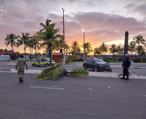 Motorista derruba coqueiro e recusa fazer teste do bafômetro em Aracaju