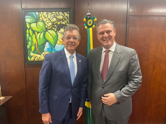 Laércio Oliveira se reúne com ministro da Agricultura e relata cinco projetos em Comissões do Senado