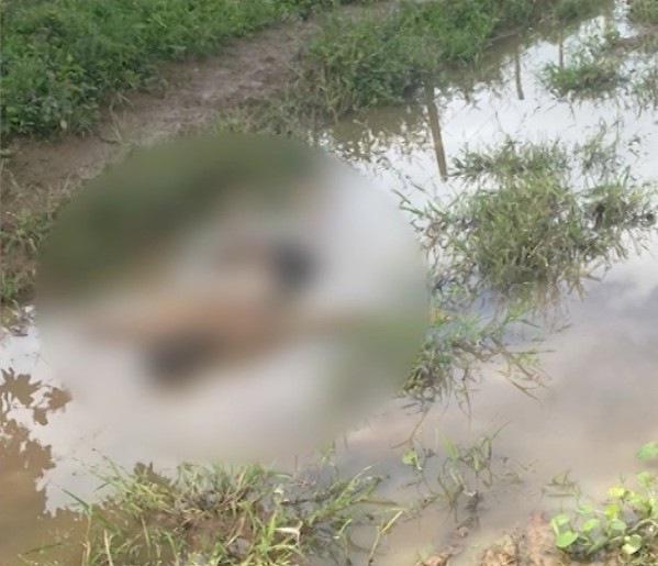 Adolescente é apreendido suspeito de matar jovem com pauladas e pedradas em Lagarto; outro envolvido está detido