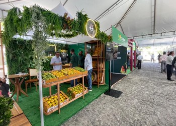 Citros Show 2025 traz programação com foco em inovação, produtividade e manejo sustentável na citricultura
