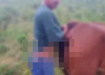 Suspeito de praticar zoofilia com um cavalo em Nossa Senhora das Dores é solto