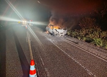 Condutor fica ferido após atropelar vaca e ter carro incendiado em rodovia de Salgado