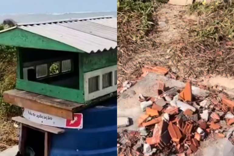 Abrigo de animais é demolido na Zona Sul de Aracaju