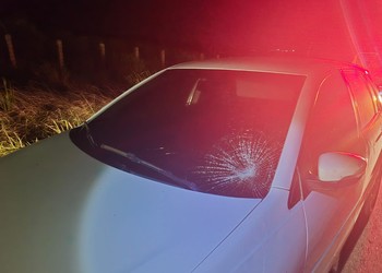 Pedestre fica ferido após ser atropelado na SE-270, em Simão Dias