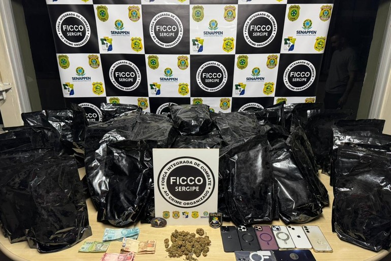 FICCO apreende 36 kg de maconha tipo flor em ação na BR-101, em São Cristóvão