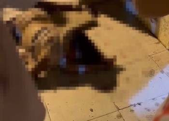 Ciclista morre após ser atropelada por carro que fugiu sem prestar socorro em São Domingos