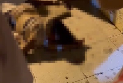 Ciclista morre após ser atropelada por carro que fugiu sem prestar socorro em São Domingos