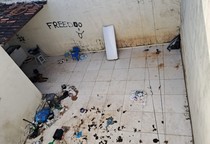 Casal é preso por maus-tratos contra um cachorro em Itabaiana