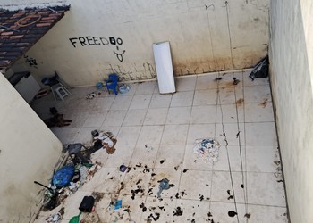 Casal é preso por maus-tratos contra um cachorro em Itabaiana