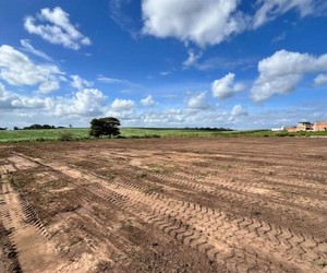 Ordem de Serviço para construção do novo campus do IFS em Japaratuba é assinada