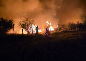 VÍDEO; Incêndio atinge área de vegetação em Itaporanga D’Ajuda