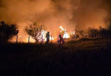 VÍDEO; Incêndio atinge área de vegetação em Itaporanga D’Ajuda